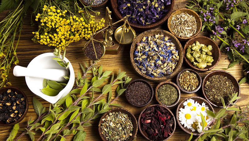 دارو های گیاهی