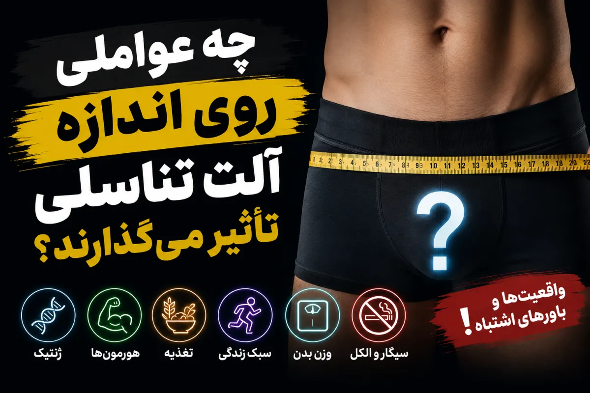 چه عواملی روی اندازه آلت تناسلی تأثیر می‌گذارند؟