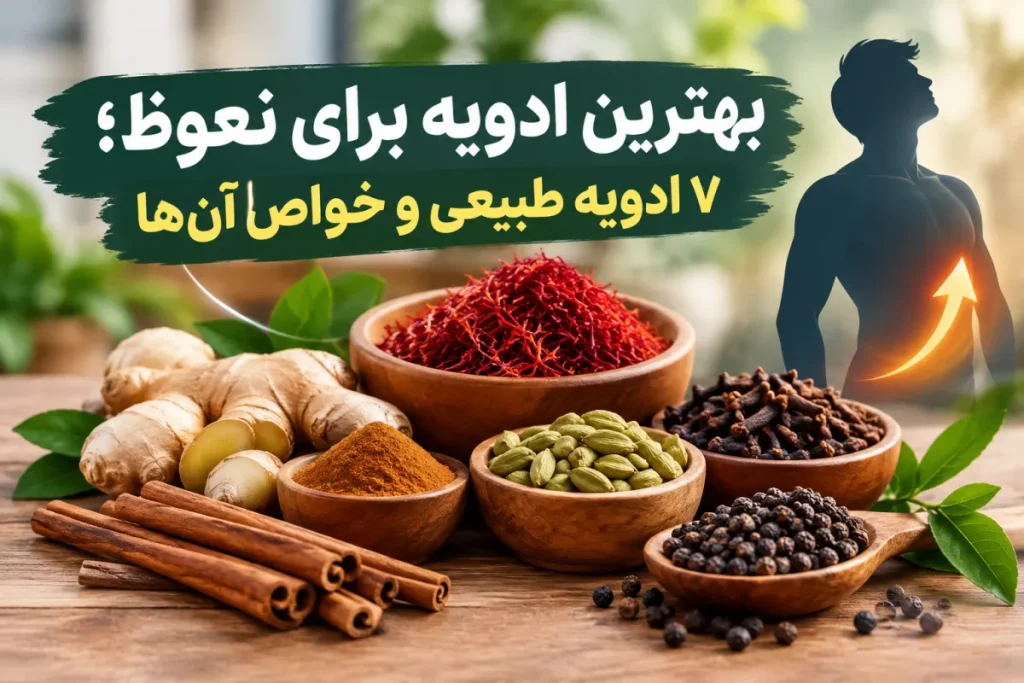 بهترین ادویه برای نعوظ